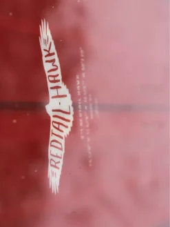 Elevated Surf Craft Redtail Hawk 5'1 / 155 2023 Snowboard -Matériel De Ski RedtailHawk503911552023Snowboard 4