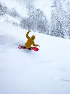 Elevated Surf Craft Redtail Hawk 5'1 / 155 2023 Snowboard -Matériel De Ski RedtailHawk503911552023Snowboard 6