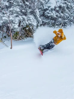 Elevated Surf Craft Redtail Hawk 5'1 / 155 2023 Snowboard -Matériel De Ski RedtailHawk503911552023Snowboard 7