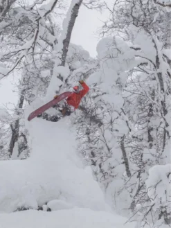 Elevated Surf Craft Redtail Hawk 5'1 / 155 2023 Snowboard -Matériel De Ski RedtailHawk503911552023Snowboard 8