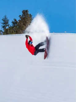 Elevated Surf Craft Shortboard 5'0 / 152,5 2023 Snowboard -Matériel De Ski Shortboard5039015252023Snowboard 2