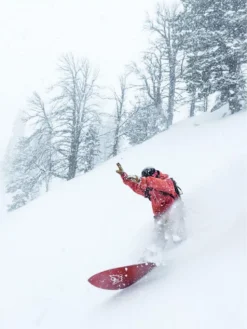 Elevated Surf Craft Shortboard 5'0 / 152,5 2023 Snowboard -Matériel De Ski Shortboard5039015252023Snowboard 3