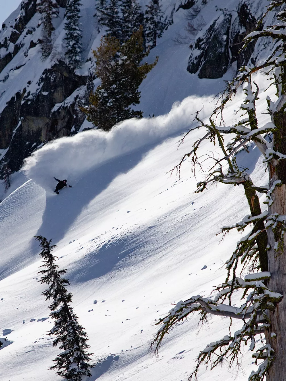 Jones Snowboards Solution 164 2023 Splitboard 4 Jones Snowboards Solution 164 2023 Splitboard – Image 2