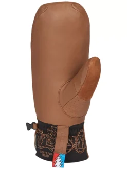 Dakine Team Baron Gore-Tex Fäustlinge -Matériel De Ski TeamBaronGoreTexFaeustlinge 2